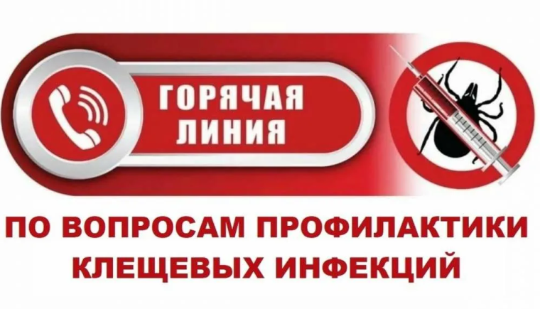 «горячую» линию по профилактике клещевых инфекций!.